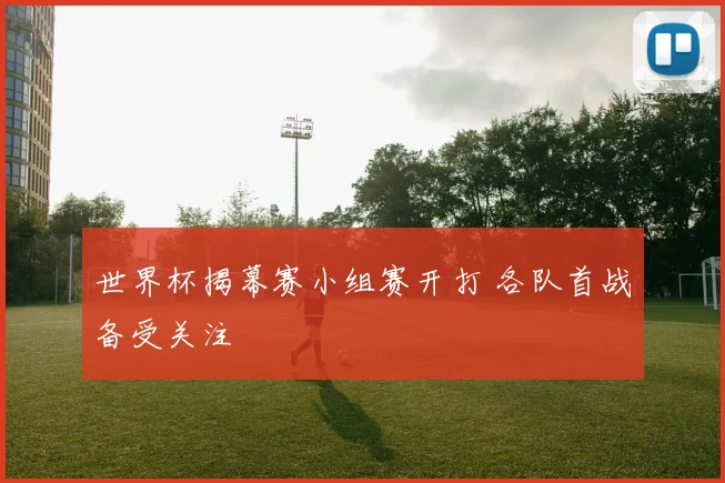 世界杯揭幕赛小组赛开打 各队首战备受关注