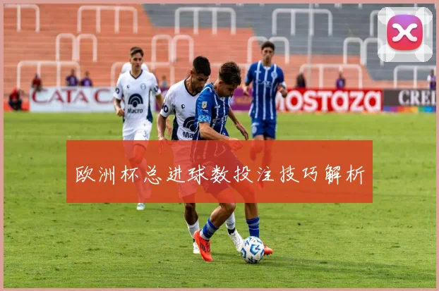 欧洲杯总进球数投注技巧解析