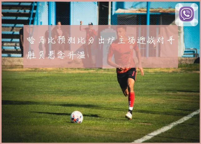 哈马比预测比分出炉主场迎战对手胜负悬念升温