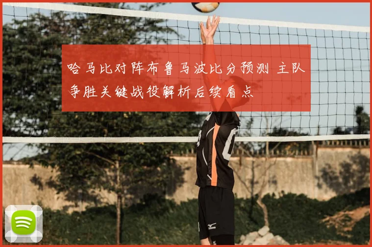 哈马比对阵布鲁马波比分预测 主队争胜关键战役解析后续看点