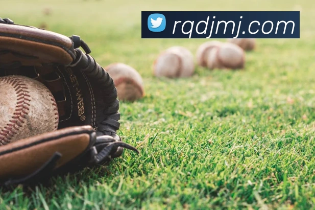 世界杯平台官网登录发展历程